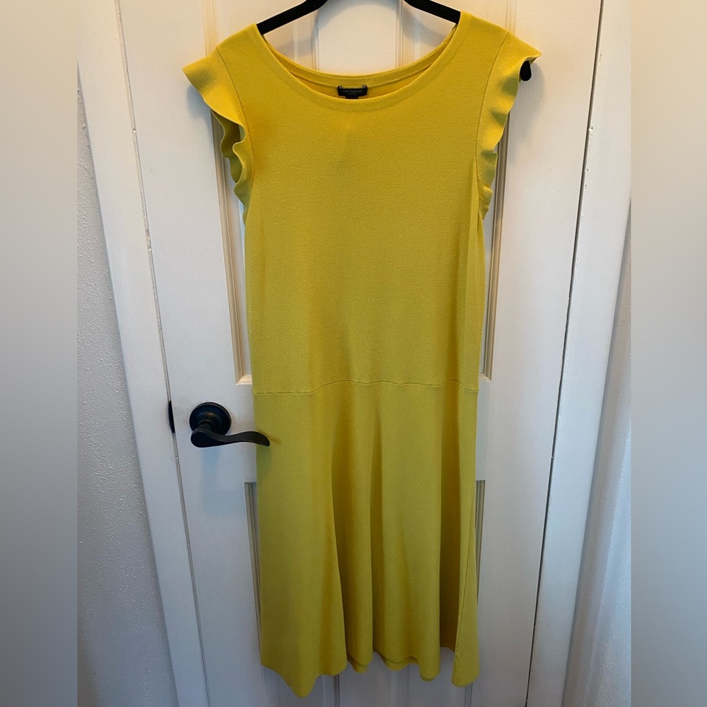 Ann Taylor Dress